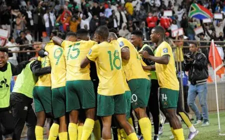 اليوم مواجهة حاسمة بين جنوب أفريقيا وإريتريا في القاهرة ضمن تصفيات كأس أمم أفريقيا