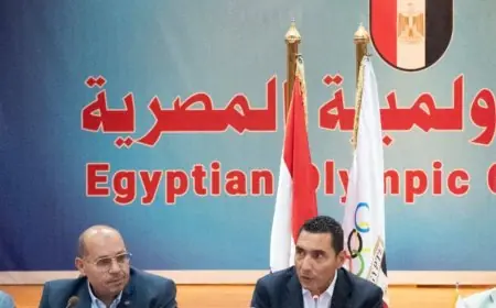 وزير الرياضة يلتقي اللجنة الأولمبية المصرية لبحث برامج تطوير المنتخبات