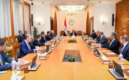 وزير الخارجية يؤكد التزامه بدعم الوحدة والسيادة الوطنية وسلامة أراضي الدول