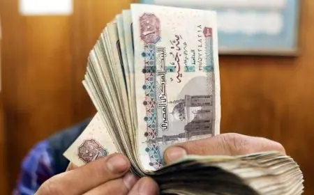 رئيس التأمينات يكشف عن قيمة مذهلة في الحسابات تصل إلى 918 مليار جنيه