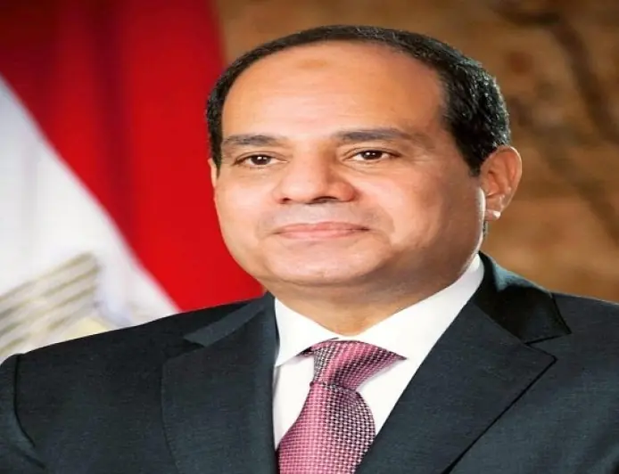 الرئيس السيسي يلتقي مدير الاستخبارات الأمريكية جون راتكليف في القاهرة
