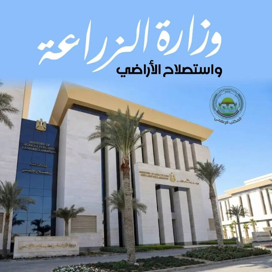 ضبط 213 طن و281 كجم لحوم فاسدة وتحرير 908 محاضر في المحافظات