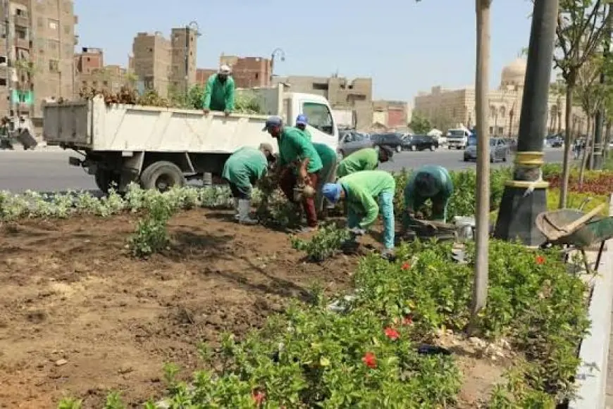 تشجير القاهرة: تقليل الحرارة وتعزيز الصحة لمواجهة التغير المناخي