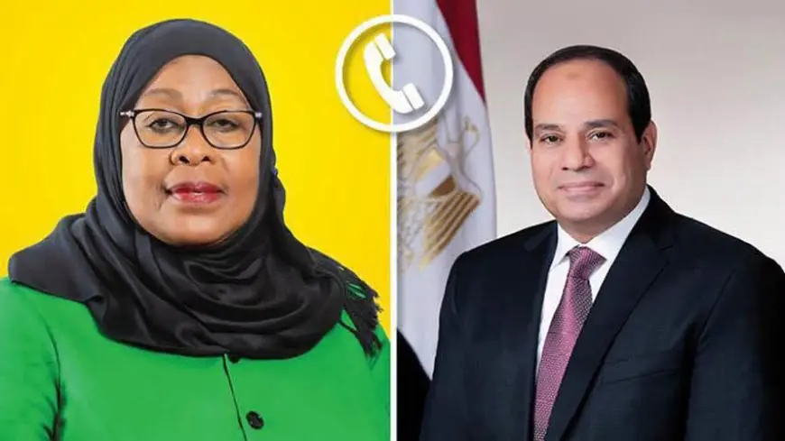 السيسي يعلن استمرار دعم مصر لتنمية تنزانيا وتعزيز التعاون بين البلدين