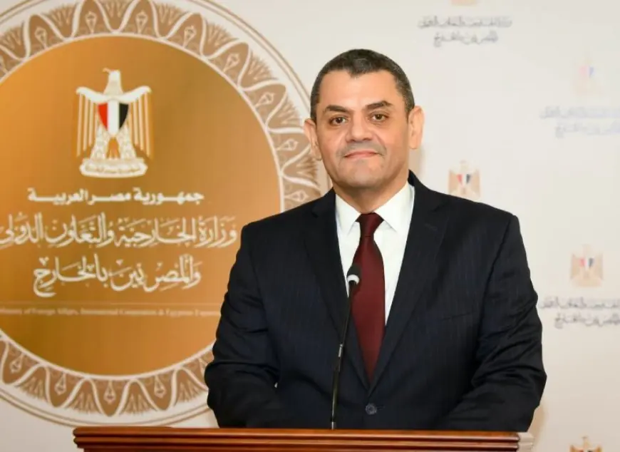 تعيين السفير نادر زكي متحدثاً رسمياً جديداً لوزارة الخارجية بقرار من وزير الخارجية