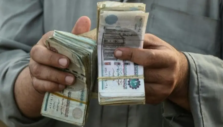 وزيرة التضامن تدعو للتحقيق الفوري في شكوى مواطن من ذوي الإعاقة في الإسكندرية