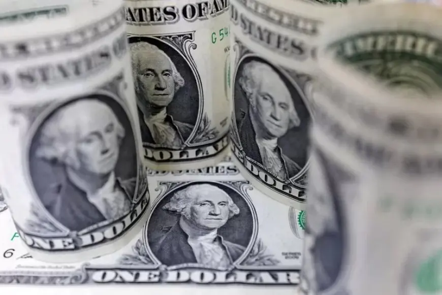 الدولار يتراجع دون 52 جنيهًا أمام الجنيه اليوم في البنوك المصرية