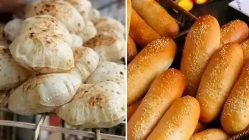 التموين تكشف أسعار الخبز السياحي والفينو بحد أقصى جنيهان