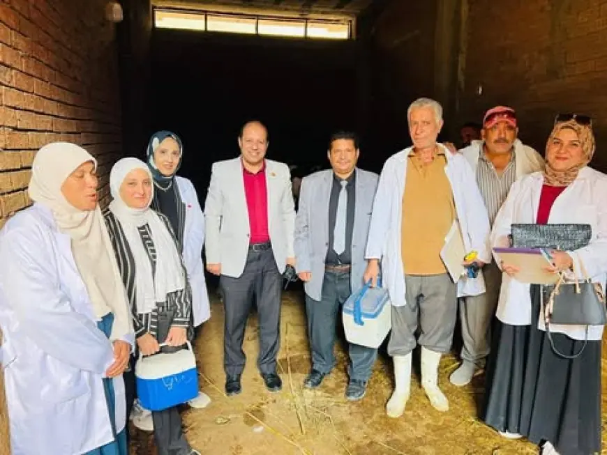 محافظة الدقهلية تحقق إنجازاً في تحصين 254 ألف رأس ماشية ضد الحمى القلاعية والوادي المتصدع
