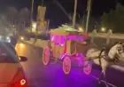 هروب مثير لفرس خلال حفل زفاف في الإسكندرية يلفت الأنظار
