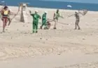 محافظ الدقهلية يتدخل لحل أزمة الكلاب الضالة بمدينة جمصة استجابةً لشكاوى المواطنين
