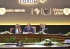 24 بندا متحدث الرئاسة يكشف مسودة إعلان العلمين في منتدى الأعمال الأفريقي