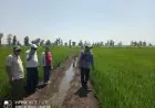 وزارة الزراعة تعلن الطوارئ للموسم الشتوي وتطلق خطة شاملة لتوفير التقاوي الضرورية
