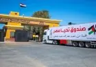 تحركات اللجنة المصرية في غزة لإعادة الحياة بين أنقاض الدمار