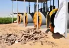 وزيرة التنمية المحلية ومحافظ الوادي الجديد تزوران مصنع تدوير المخلفات الزراعية بالخارجة لتعزيز التنمية المستدامة