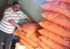 محافظة الجيزة تسترد 10 ملايين جنيه غرامات من أصحاب المخابز البلدية