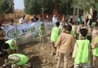 وزيرة التنمية المحلية والبيئة تكشف عن خطة زراعة وتوريد 3620 شجرة جديدة في بني سويف