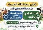 محافظة الغربية تستعد لانطلاق الحملة القومية الثانية لتحصين الماشية ضد الأمراض الوبائية غدًا الأحد