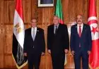 وزير الخارجية يؤكد أن استقرار ليبيا يعزز الأمن القومي لمصر والدول العربية