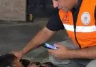 التدخل السريع بالدقهلية ينقذ مسنا ويوفر له مأوى آمنا وزارة التضامن تحقق انجازا إنسانيا