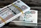 تعرف على موعد صرف معاشات نوفمبر 2026 وأماكن الصرف وكيفية الاستعلام