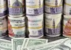 تراجع الدولار إلى أقل من 56 جنيهًا في البنوك اليوم الخميس