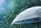الأرصاد الجوية: تحذيرات من الشبورة الكثيفة وتساقط الأمطار الخفيفة حتى الأربعاء المقبل