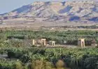تنمية صناعة التمور وخلق فرص عمل بالوادي الجديد من خلال مشروعات تطويرية