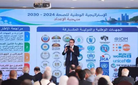 بيان حكومي: وزير الصحة يوضح تفاصيل خصخصة المستشفيات الحكومية