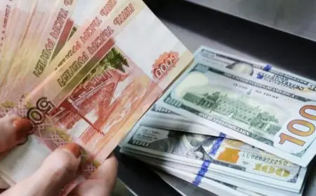 سعر الدولار في ختام تعاملات الخميس 1 أكتوبر 2026: تعرف على آخر تحديثات الأسعار
