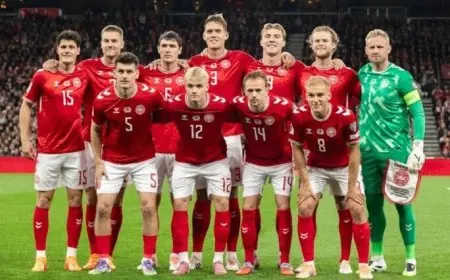 «كريستنسن» يقود منتخب الدنمارك في مواجهة البرتغال ضمن دوري الأمم الأوروبية