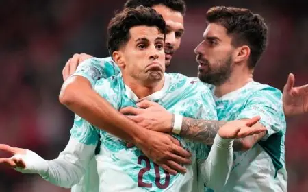 رونالدو يغيب واحتفاله يضيء فوز البرتغال الساحق على الدنمارك