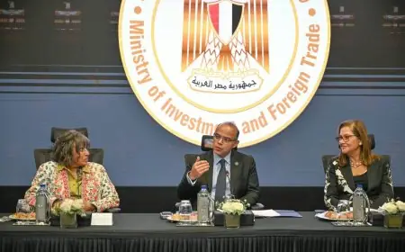 تعزيز الاستثمارات العربية وتمكين المرأة اقتصاديًا على طاولة مباحثات وزير الاستثمار ومجلس سيدات الأعمال العرب