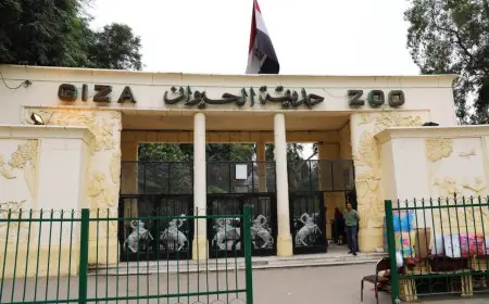 افتتاح حديقة الحيوان بالجيزة 2026 تحت الاسم الجديد جنينة الحيوانات