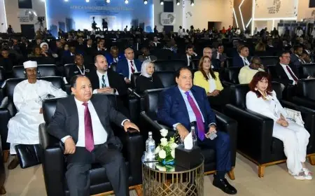 وزير الخارجية يشارك في جلسة نقاشية هامة تعزز التجارة والاستثمار عبر الدبلوماسية الاقتصادية في أفريقيا