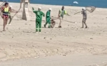 محافظ الدقهلية يتدخل لحل أزمة الكلاب الضالة بمدينة جمصة استجابةً لشكاوى المواطنين