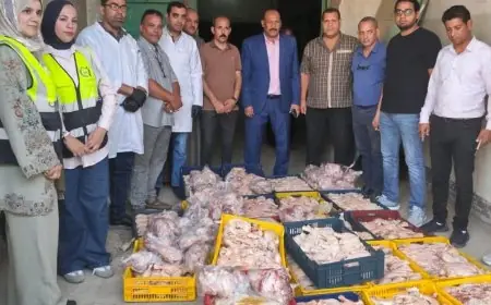 حملات الطب البيطري بسوهاج تضبط وتعدم 1791.2 كجم من اللحوم والمنتجات المخالفة