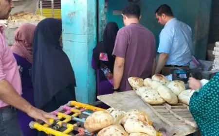 القبض على كمية دقيق بلدي محظورة داخل ماكينة طحين بالمنوفية وتحرير محاضر لمخالفات الأوزان