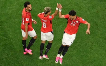 الرئيس السيسي يؤكد موقف مصر الثابت ضد التدخل في شؤون الدول الإفريقية