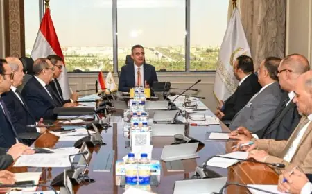 استقرار أسعار وأوزان الخبز الحر والفينو بعد اجتماع التموين مع شعبة المخابز
