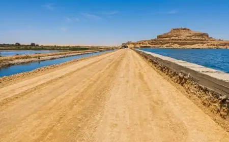 وزير الري يعلن عن إنشاء 11 شبكة لتوزيع المياه الجوفية لخدمة أهالي سيوة