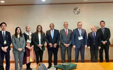 قنصوة يبحث سبل تعزيز التعاون البحثي مع رئيس الجمعية اليابانية لتعزيز العلوم JSPS