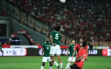 منتخب مصر يتعرّض للهزيمة أمام جنوب إفريقيا في مباراة ودية «فيديو»