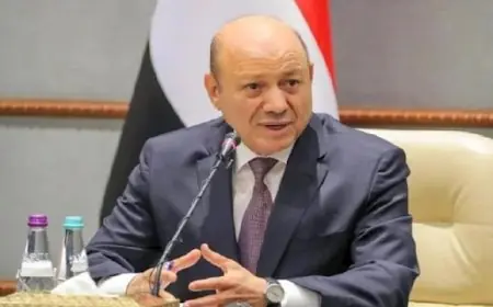 اليمن يبدأ استعادة الدولة والتحالف يؤكد دعمه الكامل