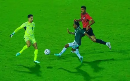 منتخب مصر في طريقه لاستعادة مركزه في تصنيف الفيفا رغم خسارته أمام جنوب أفريقيا