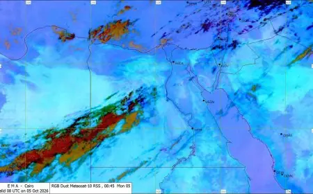 الأرصاد توضح: تفاصيل الطقس في الساعات المقبلة مع سقوط أمطار وسحب رعدية