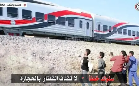 وزارة النقل تدعو للمشاركة في توعية الأهل بالمخاطر الناتجة عن رشق الأطفال للقطارات بالحجارة