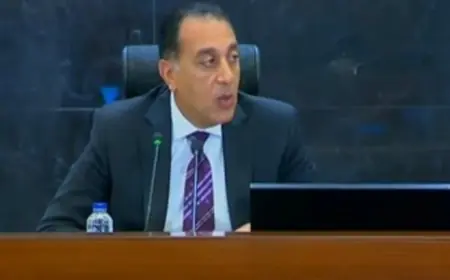 مصر تستعد لإطلاق برنامج وطني للاقتصاد حتى عام 2030 بتصريحات من مدبولي