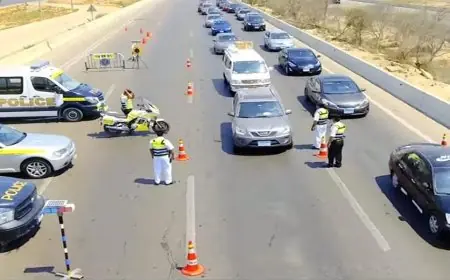 القبض على 15 سائق حافلة مدرسية بتهمة تعاطي الحشيش والترامادول وإحالتهم للنيابة العامة