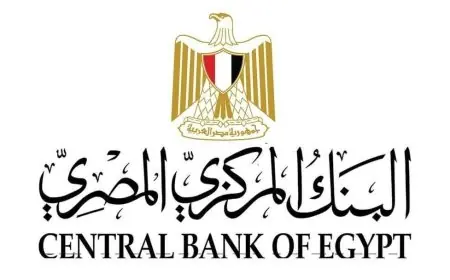 البنك المركزي يعلن تراجع التضخم السنوي الأساسي إلى 14.1% في سبتمبر 2026